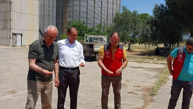 Milas TMO Hububat alımlarına başladı