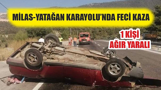 Milas-Yatağan Karayolu'nda feci kaza: 1 kişi ağır yaralı