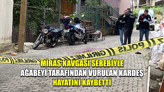 Miras kavgası sebebiyle ağabeyi tarafından vurulan kardeş hayatını kaybetti