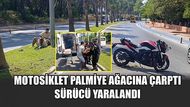 Motosiklet palmiye ağacına çarptı, sürücü yaralandı