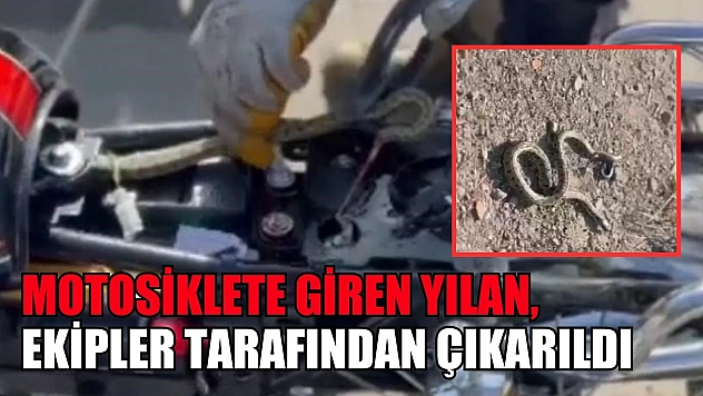 Motosiklete giren yılan, ekipler tarafından çıkarıldı