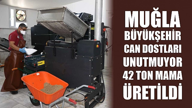 Muğla Büyükşehir Can Dostları Unutmuyor: 42 Ton Mama Üretildi