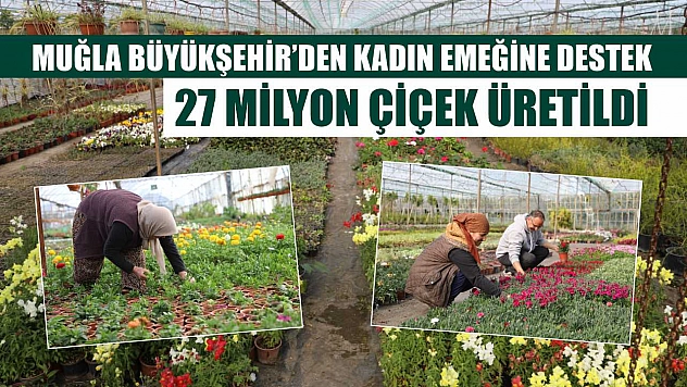 Muğla Büyükşehir'den Kadın Emeğine Destek: 27 Milyon Çiçek Üretildi