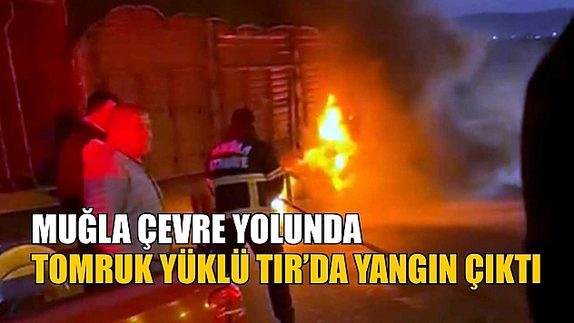 Muğla çevre yolunda tomruk yüklü tırda yangın çıktı