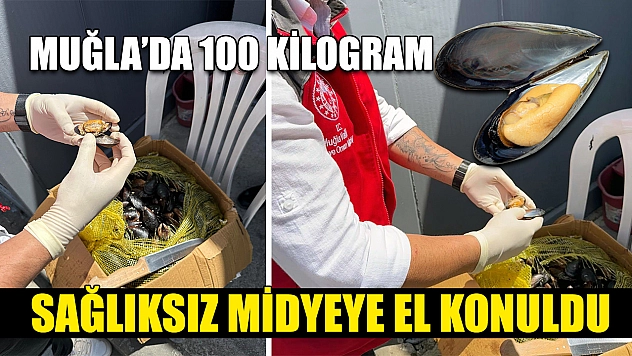 Muğla'da 100 Kilogram sağlıksız midyeye el konuldu