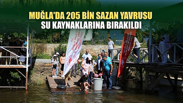 Muğla'da 205 bin sazan yavrusu su kaynaklarına bırakıldı