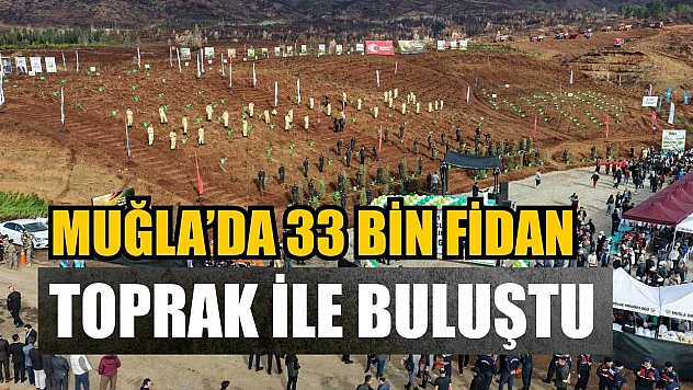 Muğla'da 33 bin fidan toprak ile buluştu