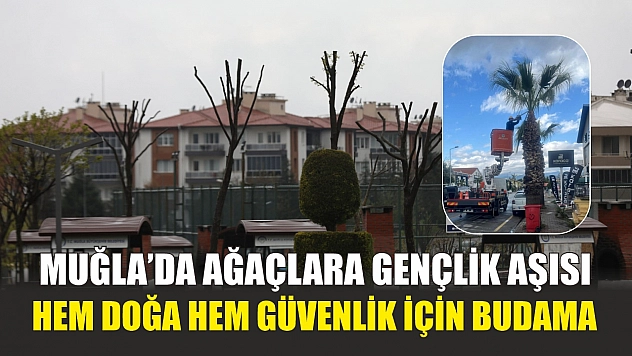 Muğla'da Ağaçlara Gençlik Aşısı: Hem Doğa Hem Güvenlik İçin Budama