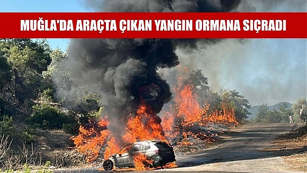 Muğla'da araçta çıkan yangın ormana sıçradı