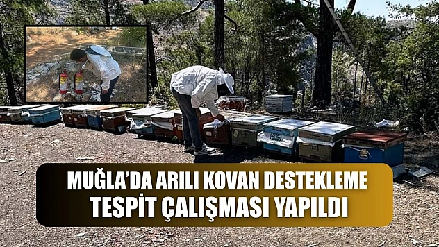 Muğla'da arılı kovan destekleme tespit çalışması yapıldı