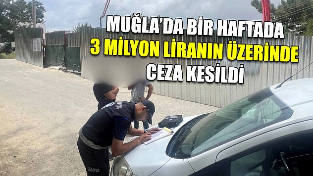 Muğla'da Bir haftada 3 milyon liranın üzerinde ceza kesildi