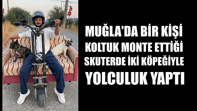 Muğla'da bir kişi koltuk monte ettiği skuterde iki köpeğiyle yolculuk yaptı