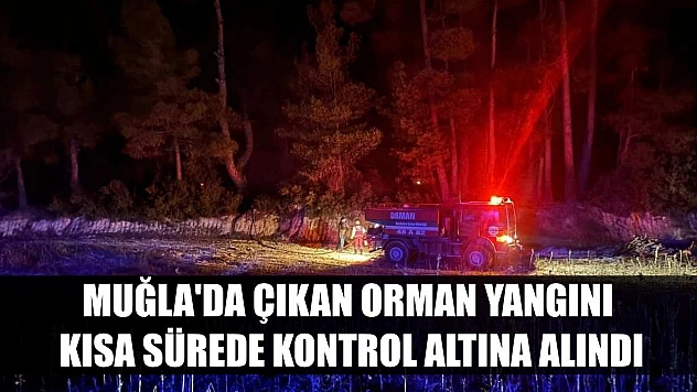 Muğla'da çıkan orman yangını kısa sürede kontrol altına alındı