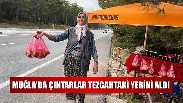 Muğla'da çıntarlar tezgahtaki yerini aldı