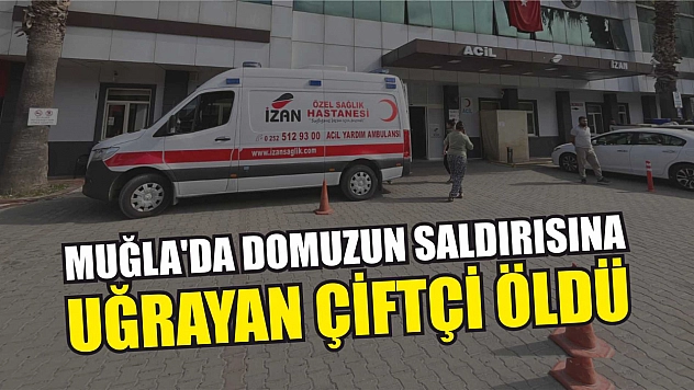 Muğla'da domuzun saldırısına uğrayan çiftçi öldü