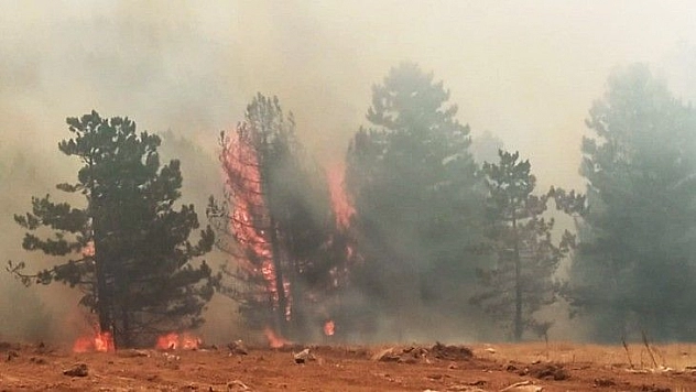 Muğla'da dört ilçede yangınlar devam ediyor