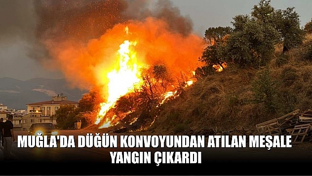 Muğla'da düğün konvoyundan atılan meşale yangın çıkardı