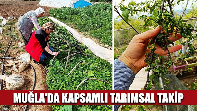 Muğla'da kapsamlı tarımsal takip