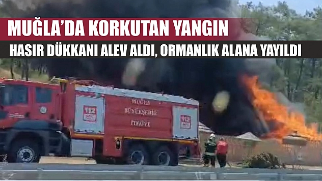 Muğla'da Korkutan Yangın: Hasır Dükkanı Alev Aldı, Ormanlık Alana Yayıldı