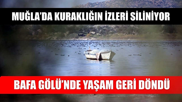 Muğla'da kuraklığın izleri siliniyor: Bafa Gölü'nde yaşam geri döndü