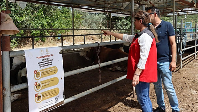 Muğla'da Kurban Hazırlıkları Tamam