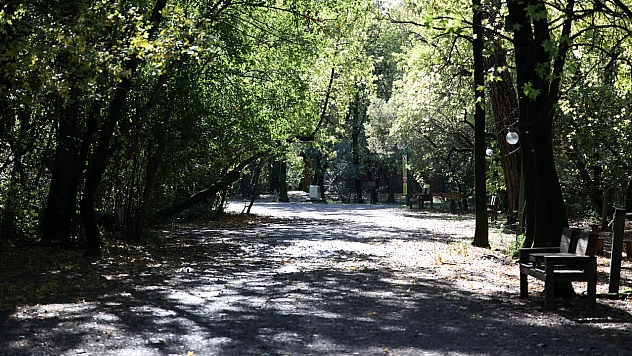 Muğla'da o orman Cumartesi günleri de ziyarete açık