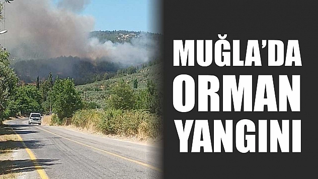 Muğla'da orman yangını
