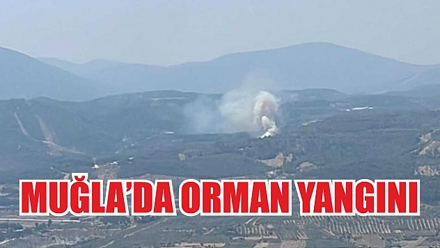 Muğla'da orman yangını
