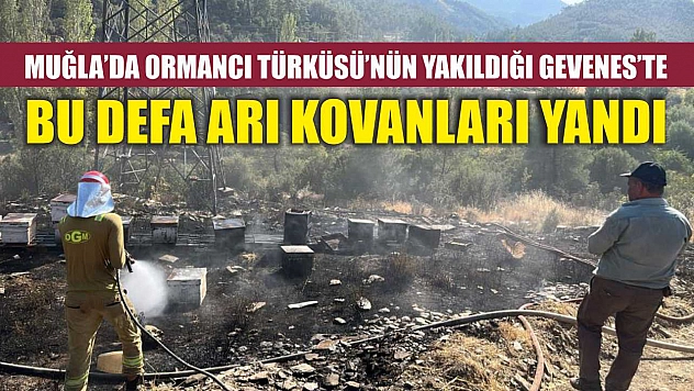 Muğla'da Ormancı Türküsü'nün yakıldığı Gevenes'te bu defa arı kovanları yandı