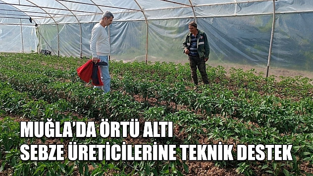 Muğla'da örtü altı sebze üreticilerine teknik destek