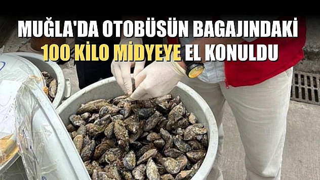 Muğla'da otobüsün bagajındaki 100 kilo midyeye el konuldu
