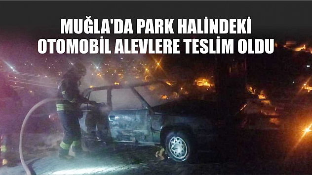 Muğla'da park halindeki otomobil alevlere teslim oldu
