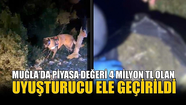 Muğla'da piyasa değeri 4 milyon TL olan uyuşturucu ele geçirildi