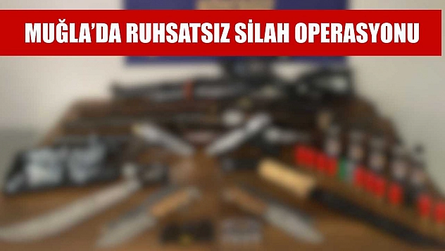 Muğla'da ruhsatsız silah operasyonu