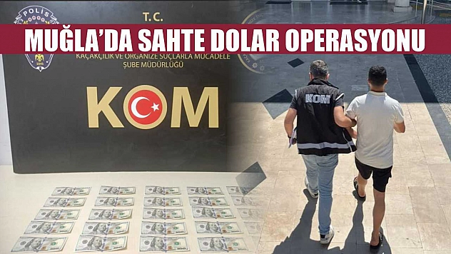 Muğla'da sahte dolar operasyonu