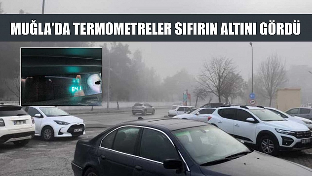 Muğla'da termometreler sıfırın altını gördü