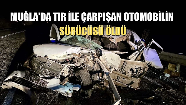 Muğla'da tır ile çarpışan otomobilin sürücüsü öldü