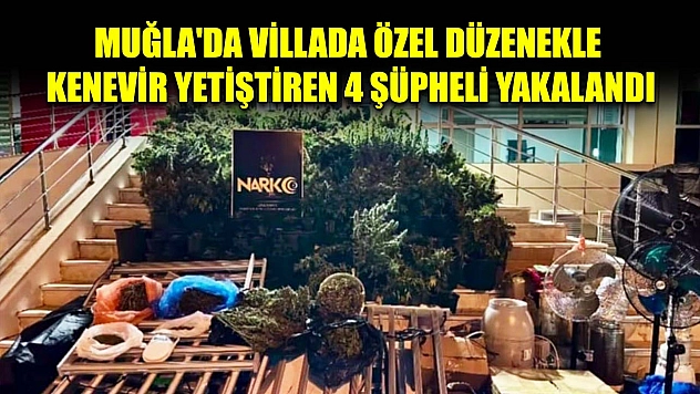 Muğla'da villada özel düzenekle kenevir yetiştiren 4 şüpheli yakalandı
