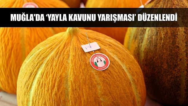 Muğla'da 'Yayla Kavunu Yarışması' düzenlendi