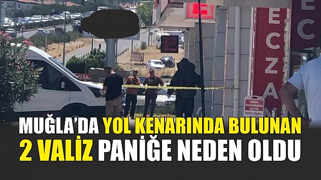 Muğla'da yol kenarında bulunan 2 valiz paniğe neden oldu