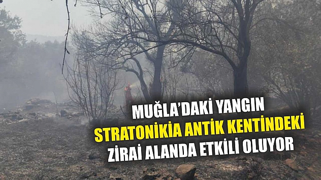 Muğla'daki yangın Stratonikia Antik kentindeki zirai alanda etkili oluyor