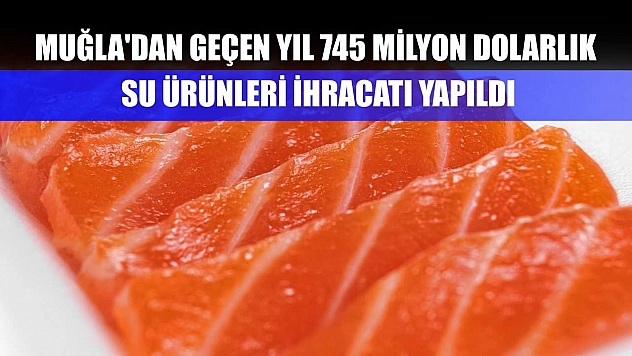 Muğla'dan geçen yıl 745 milyon dolarlık su ürünleri ihracatı yapıldı