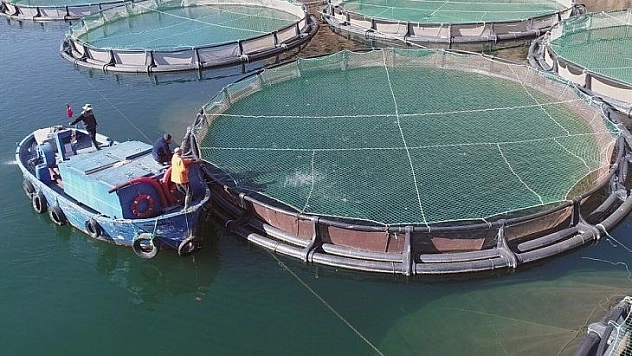 Muğla'dan Haziran ayında en fazla ihracat Yunanistan'a yapıldı