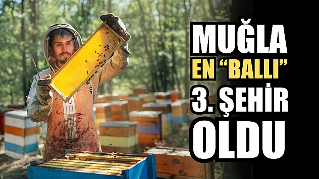 Muğla en 'ballı' 3. şehir oldu