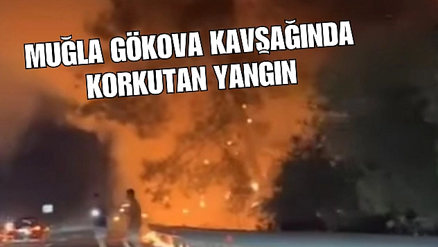 Muğla Gökova Kavşağında Korkutan Yangın