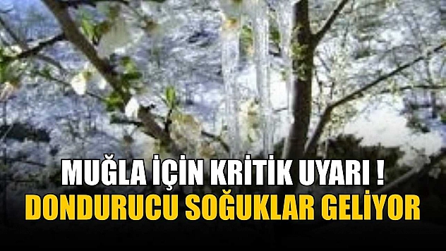 Muğla için kritik uyarı: Dondurucu soğuklar geliyor
