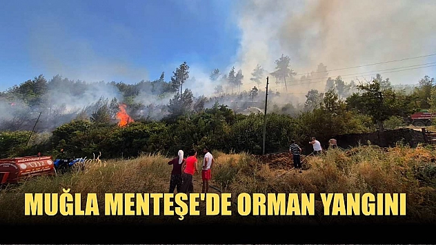 Muğla Menteşe'de orman yangını!