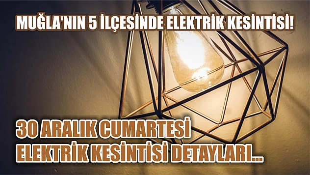 Muğla'nın 5 ilçesinde elektrik kesintisi! 30 Aralık Cumartesi elektrik kesintisi detayları...