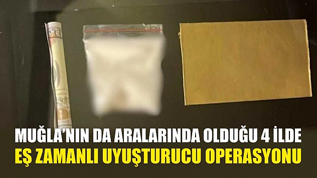 Muğla'nın da Aralarında Olduğu 4 İlde Eş Zamanlı Uyuşturucu Operasyonu