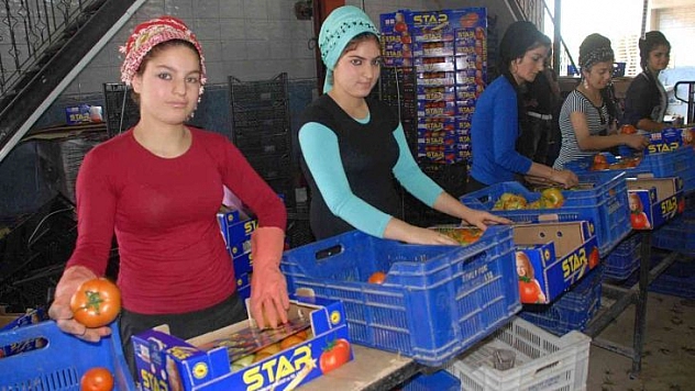 Muğla'nın Ocak ayı ihracat lideri tarım